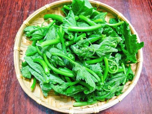 "Thần dược bổ máu": Loại rau nhà nghèo, giàu sắt và canxi ít người biết - Ảnh 4.