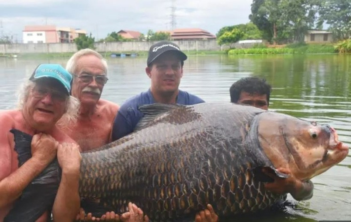 Đi câu cá "giải sầu", người đàn ông câu được con cá chép "khổng lồ" - Ảnh 2.