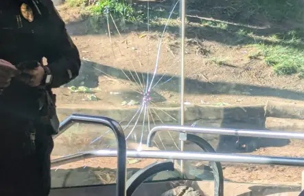 Sự cố đáng sợ xảy ra tại vườn thú, gây sốc cho du khách - Ảnh 2. Sự cố đáng sợ xảy ra tại vườn thú, gây sốc cho du khách - Ảnh 2.