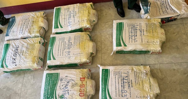 Khẩn trương giám định gần 500kg nghi ma túy bị bắt quả tang ở cửa khẩu Cha Lo- Ảnh 1. Khẩn trương giám định gần 500kg nghi ma túy bị bắt quả tang ở cửa khẩu Cha Lo- Ảnh 1.