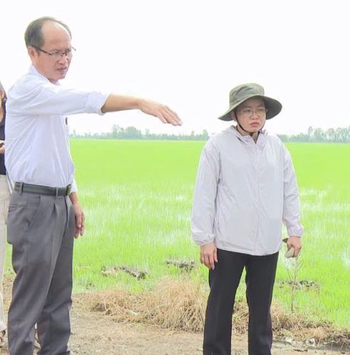 Đỉnh lũ 2025 vượt báo động: Tây Ninh chủ động phương án giữ lúa, giữ dân - Ảnh 2.
