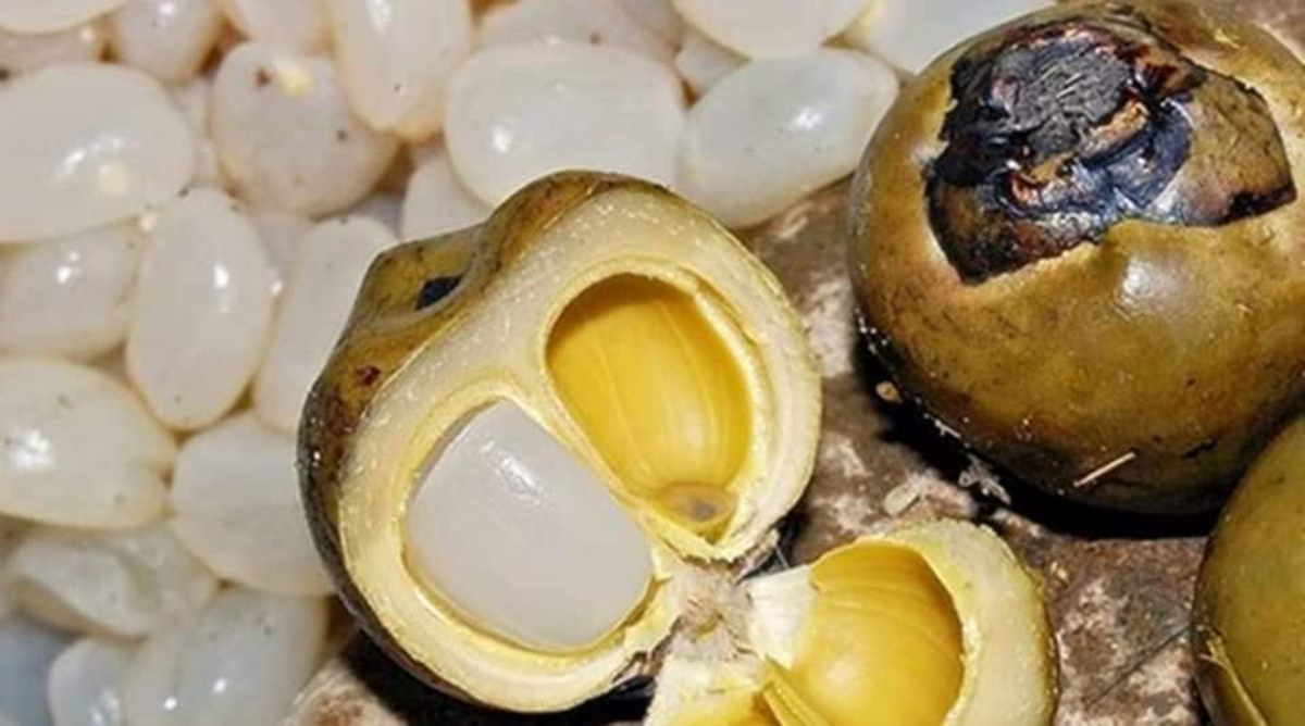Loại cây ở Việt Nam trồng bạt ngàn, "trời tây" bán giá 2,5 triệu đồng/ 4 quả - Ảnh 5.