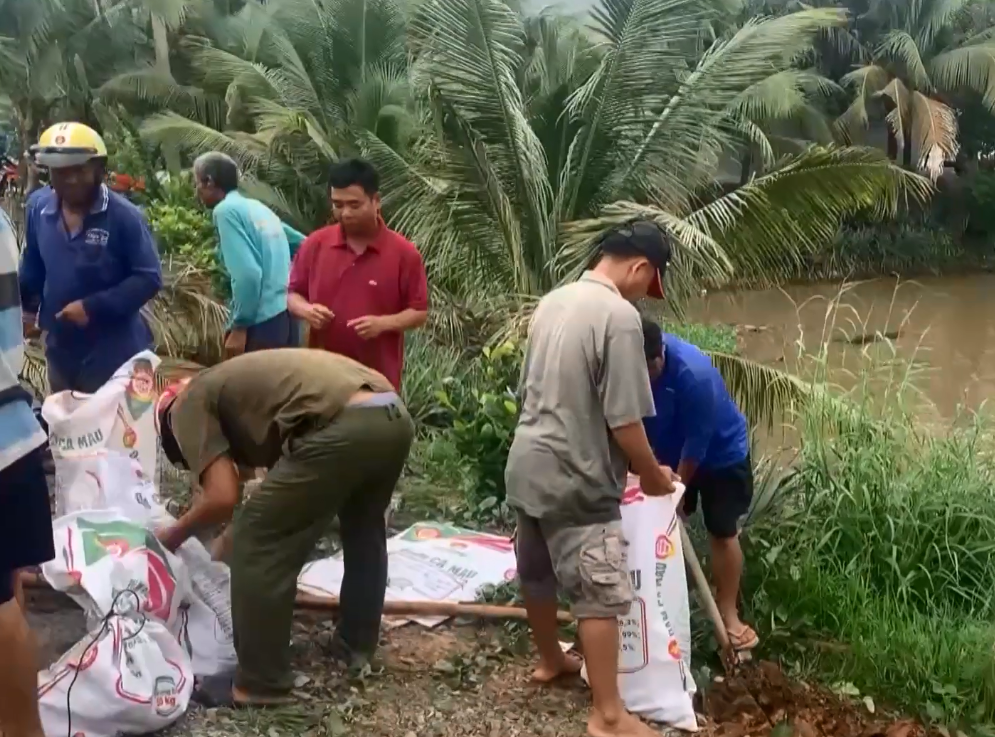 Đỉnh lũ 2025 vượt báo động: Tây Ninh chủ động phương án giữ lúa, giữ dân - Ảnh 3.