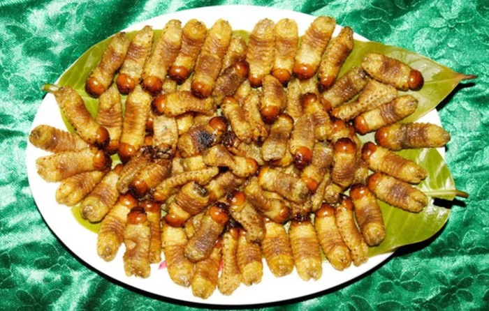Loài sâu bề ngoài nhìn "sợ khiếp vía", nay lại trở thành đặc sản với giá 350.000 đồng/kg - Ảnh 7.