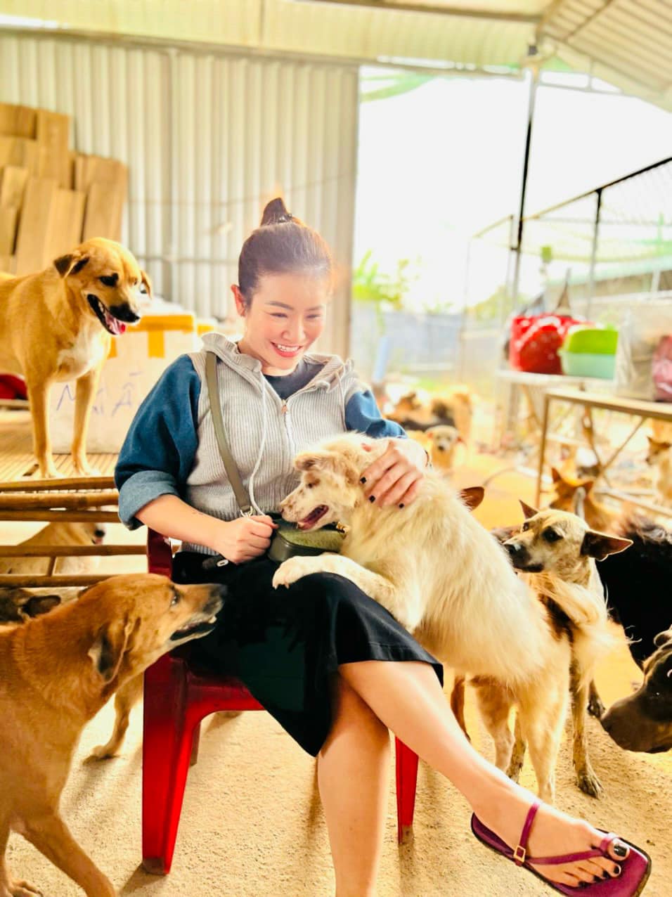 Kiều Linh chi 100 triệu mỗi tháng nuôi gần 400 con chó bị bỏ rơi- Ảnh 5. Nữ diễn viên chi 100 triệu mỗi tháng nuôi gần 400 con chó bị bỏ rơi - Ảnh 6.