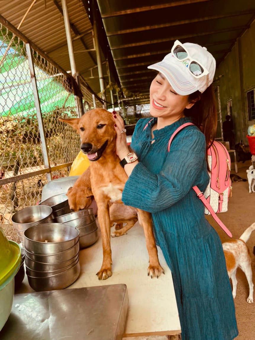 Kiều Linh chi 100 triệu mỗi tháng nuôi gần 400 con chó bị bỏ rơi- Ảnh 4. Nữ diễn viên chi 100 triệu mỗi tháng nuôi gần 400 con chó bị bỏ rơi - Ảnh 5.