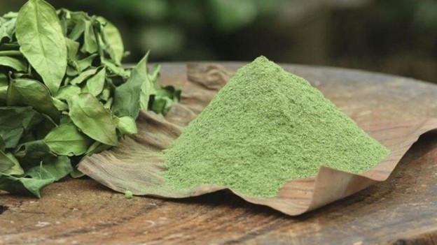 Cây dại ở bờ rào hóa "mỏ vàng", hái lá bán đều tay, thành đặc sản lạ nổi tiếng - Ảnh 8.