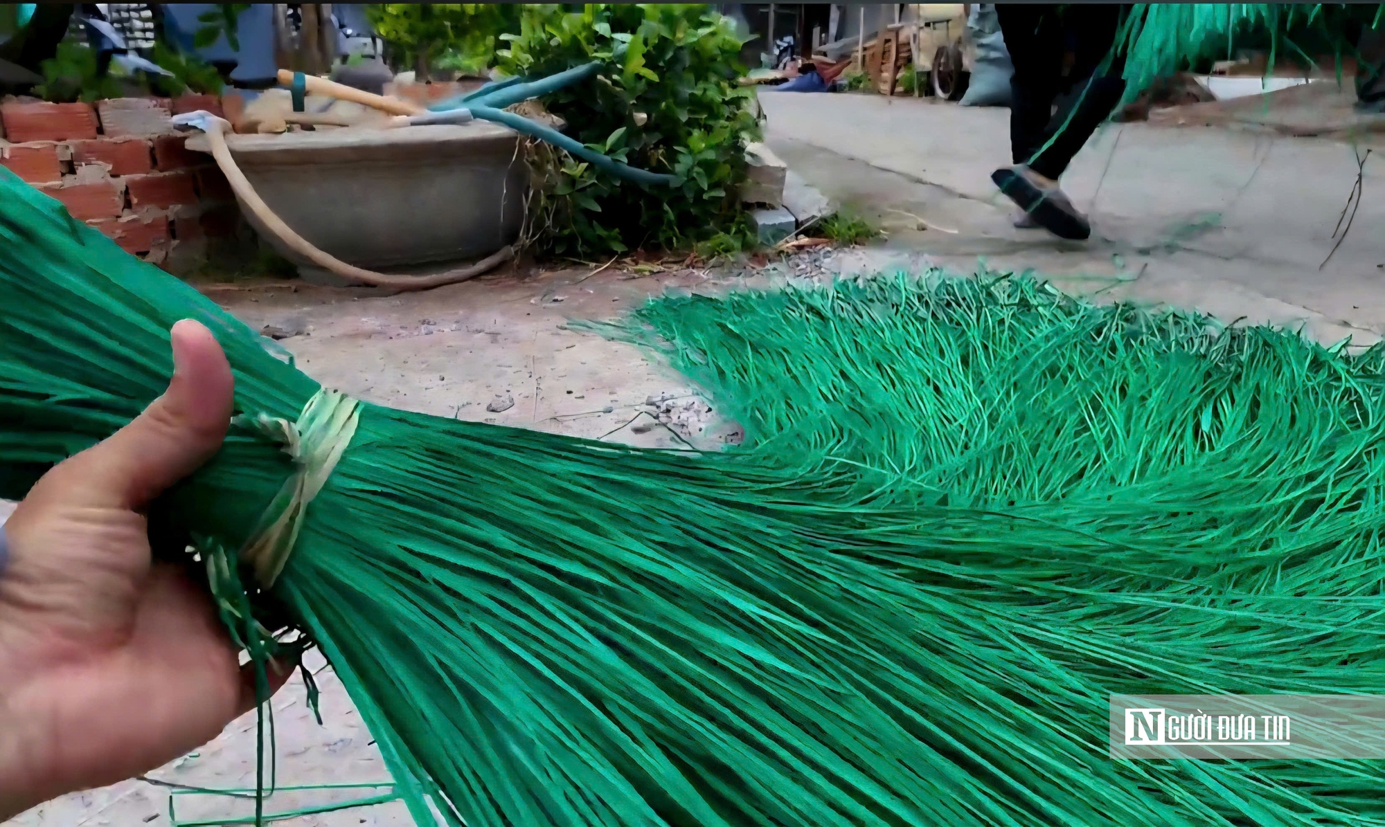 Làng chiếu Định Yên: Gian nan mưu sinh nhưng không đành buông tay- Ảnh 11.