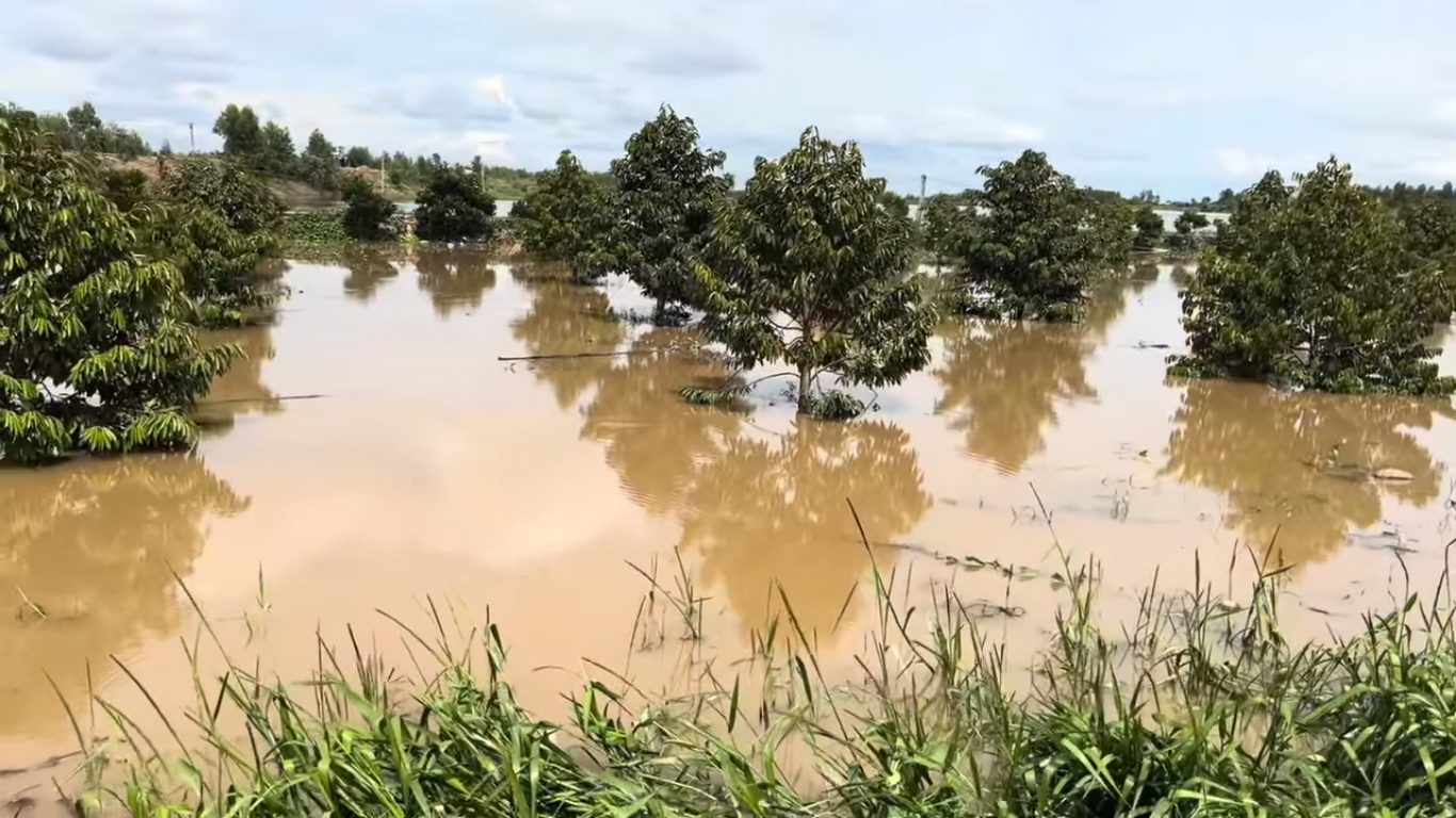Nước lũ lên nhanh: Đồng Tháp Mười Tây Ninh căng mình chống đỡ - Ảnh 1.