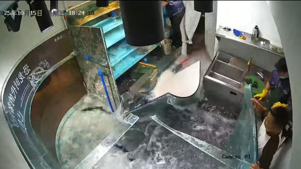 Khoảnh khắc kinh hoàng bể cá khổng lồ trong nhà hàng bất ngờ vỡ vụn - Ảnh 2.