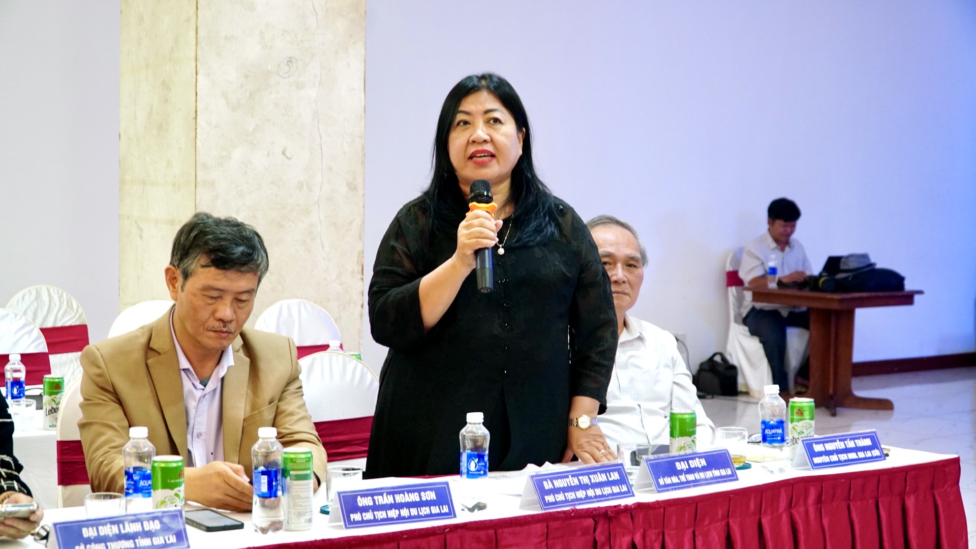 Vẽ lại "bản đồ du lịch" Gia Lai mới: Các doanh nghiệp, chuyên gia, nhà quản lý "hiến kế- Ảnh 4. Vẽ lại "bản đồ du lịch" Gia Lai mới: Các doanh nghiệp, chuyên gia, nhà quản lý "hiến kế- Ảnh 4.