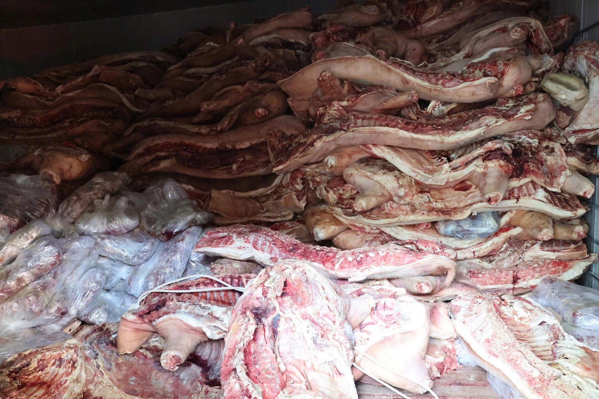 Bắt tạm giam "ông trùm" tích trữ 37,5 tấn thịt nhiễm dịch tả lợn châu Phi nhằm tuồn ra thị trường- Ảnh 2. Bắt tạm giam "ông trùm" tích trữ 37,5 tấn thịt nhiễm dịch tả lợn châu Phi nhằm tuồn ra thị trường- Ảnh 2.