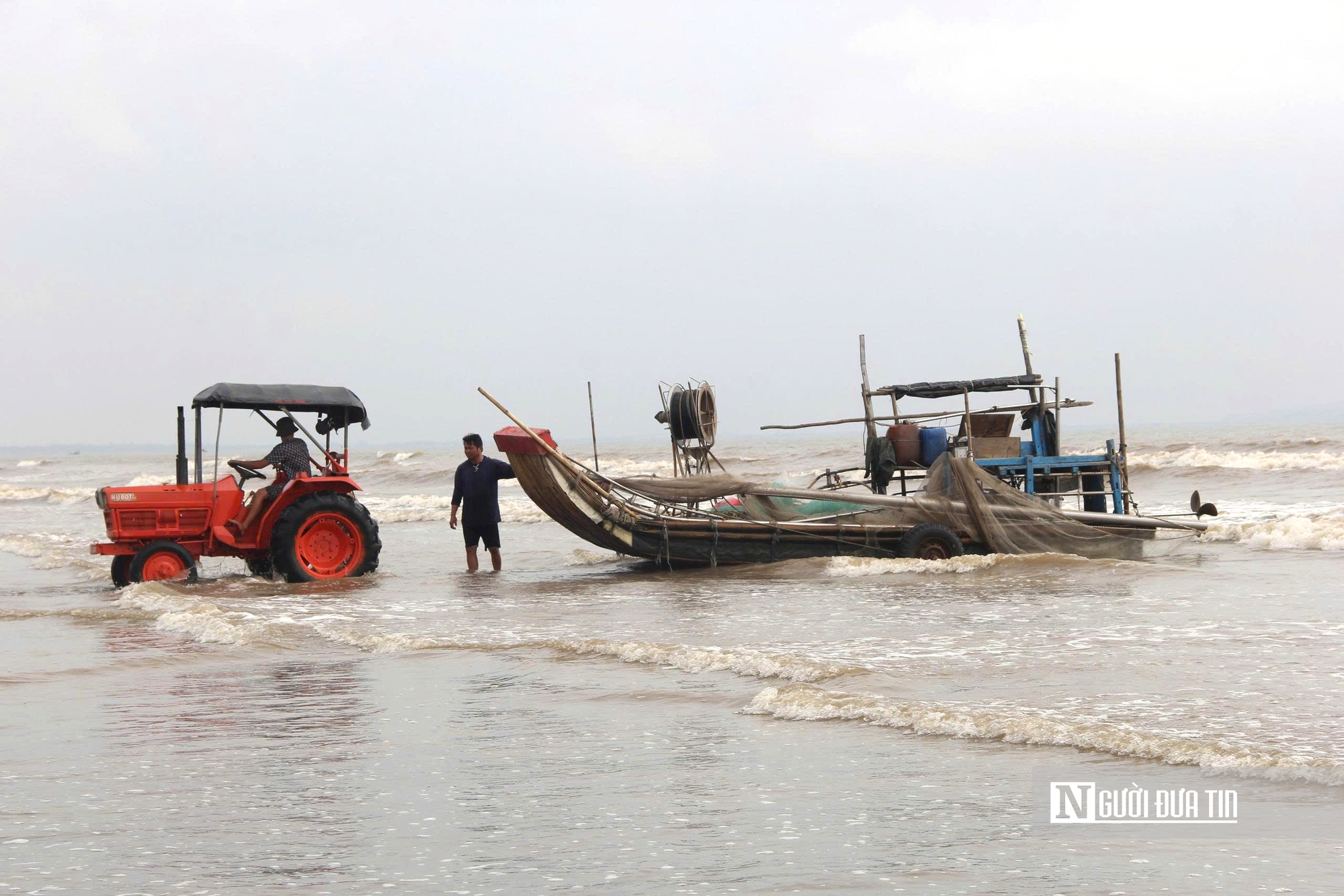 Người dân xứ Nghệ đổ xô săn “lộc trời”, bỏ túi tiền triệu mỗi ngày- Ảnh 2. Người dân xứ Nghệ đổ xô săn “lộc trời”, bỏ túi tiền triệu mỗi ngày- Ảnh 2.