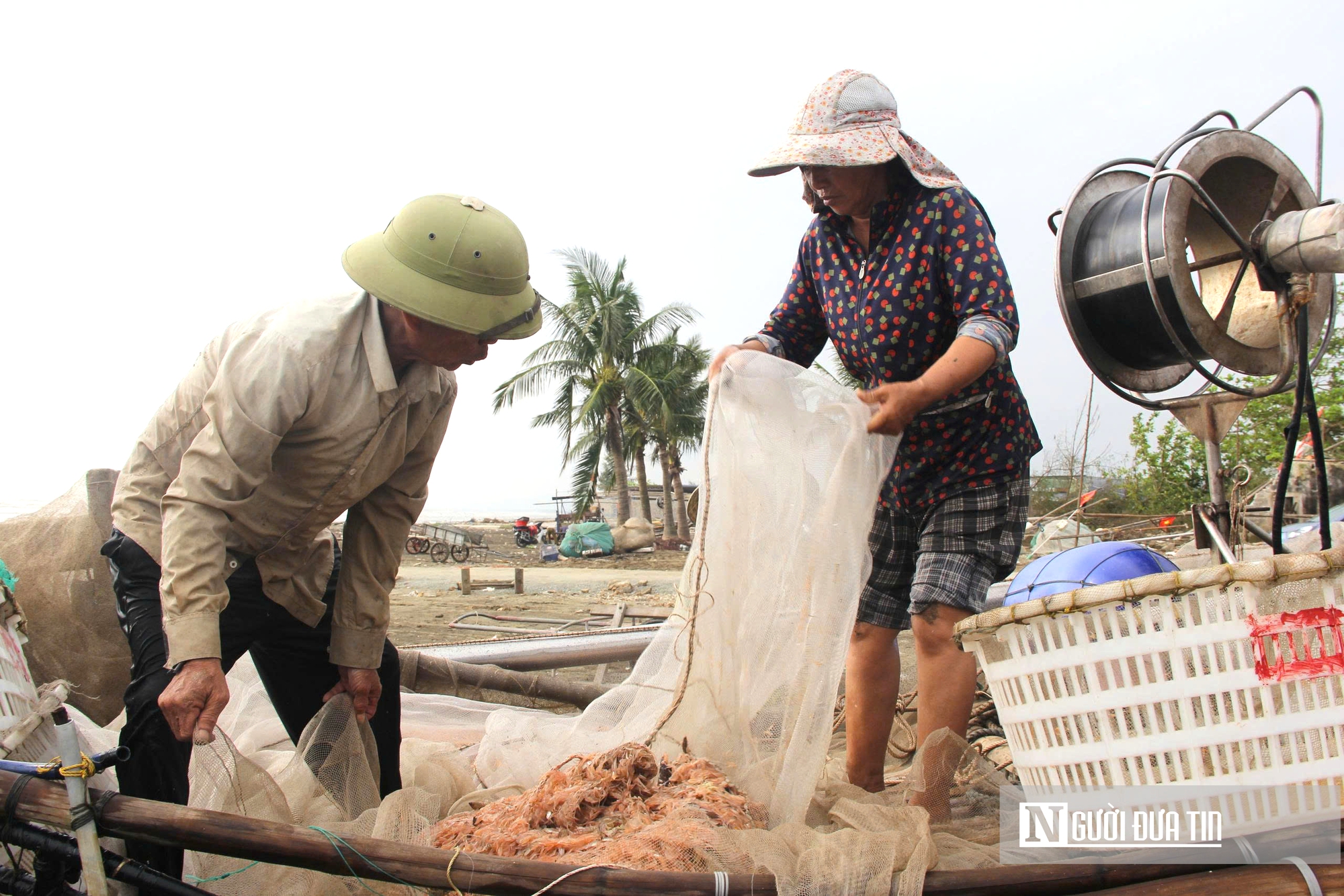 Người dân xứ Nghệ đổ xô săn “lộc trời”, bỏ túi tiền triệu mỗi ngày- Ảnh 4. Người dân xứ Nghệ đổ xô săn “lộc trời”, bỏ túi tiền triệu mỗi ngày- Ảnh 4.