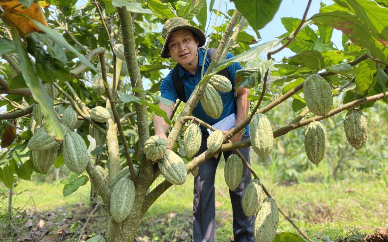 T&iacute;n chỉ carbon - "Mỏ v&agrave;ng xanh" của Gia Lai sau s&aacute;p nhập- Ảnh 14.