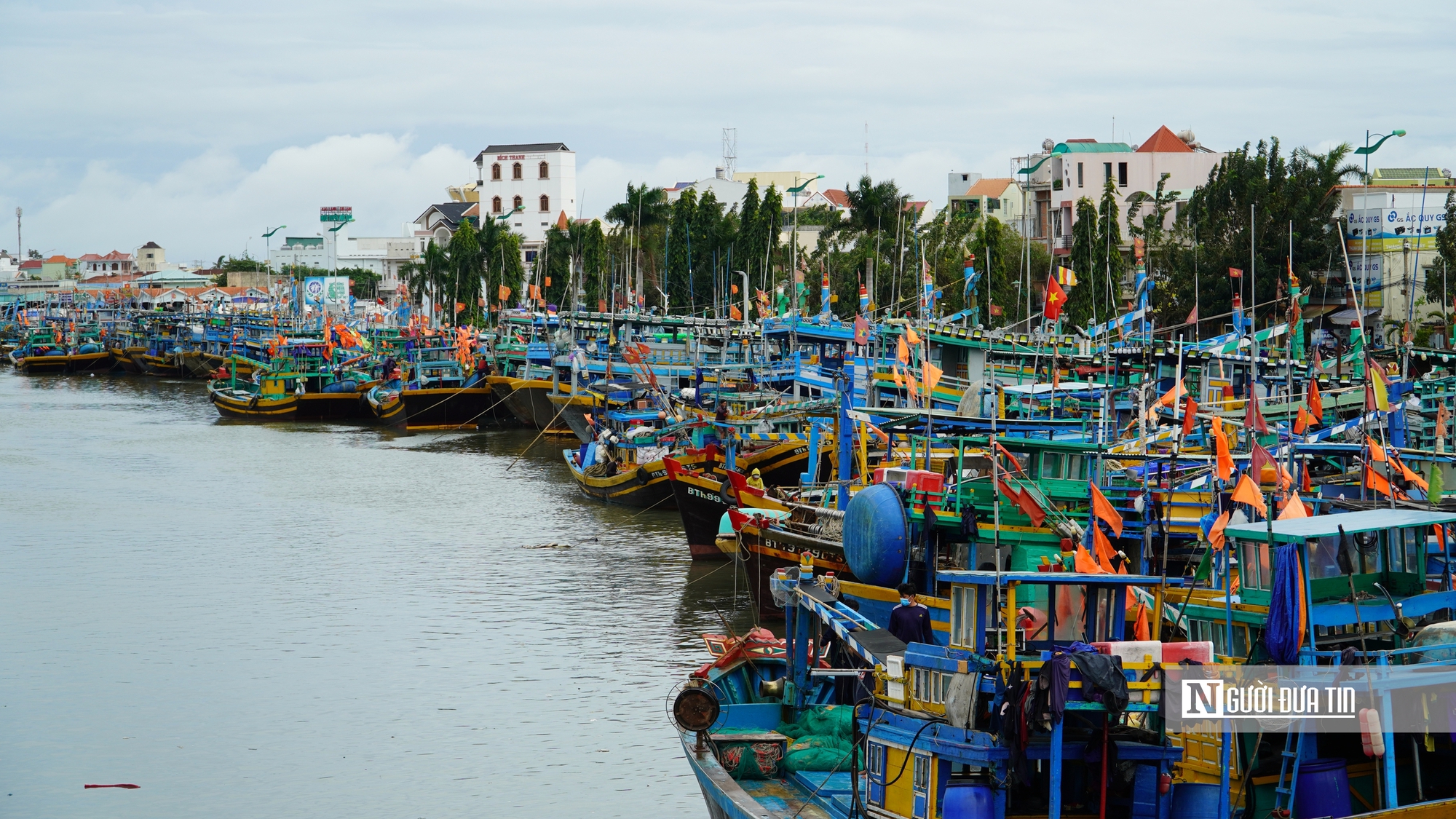 Rà soát hơn 8.000 tàu cá, Lâm Đồng quyết tâm gỡ “thẻ vàng” IUU- Ảnh 4. Rà soát hơn 8.000 tàu cá, Lâm Đồng quyết tâm gỡ “thẻ vàng” IUU- Ảnh 4.