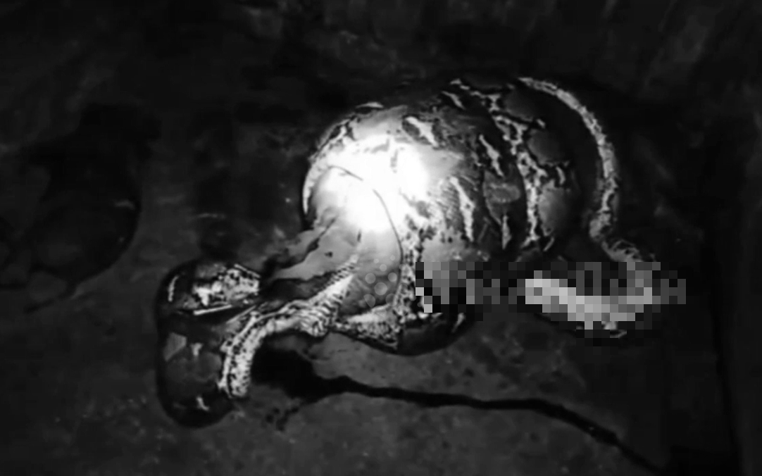 Đang thong thả đi dạo, người d&acirc;n bỗng thấy cảnh tượng "nổi da g&agrave;" tr&ecirc;n bầu trời- Ảnh 3.