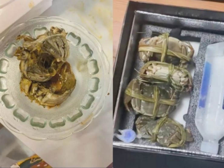 Bản tin 26/10: Một phụ nữ vi phạm giao thông liên tiếp 7 lần trong tuần- Ảnh 2. Bản tin 26/10: Một phụ nữ vi phạm giao thông liên tiếp 7 lần trong tuần- Ảnh 2.