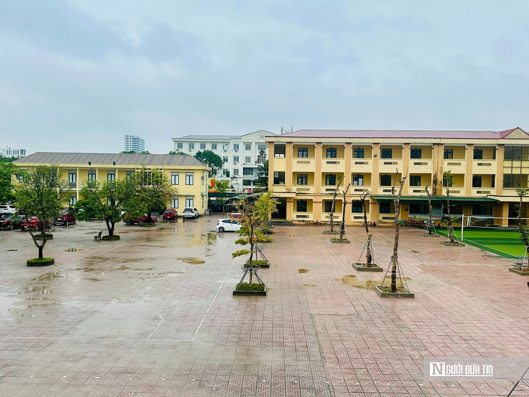 Hiệu trưởng trần tình về việc vận động xã hội hóa để trồng 10 cây giáng hương giá 130 triệu đồng- Ảnh 3.