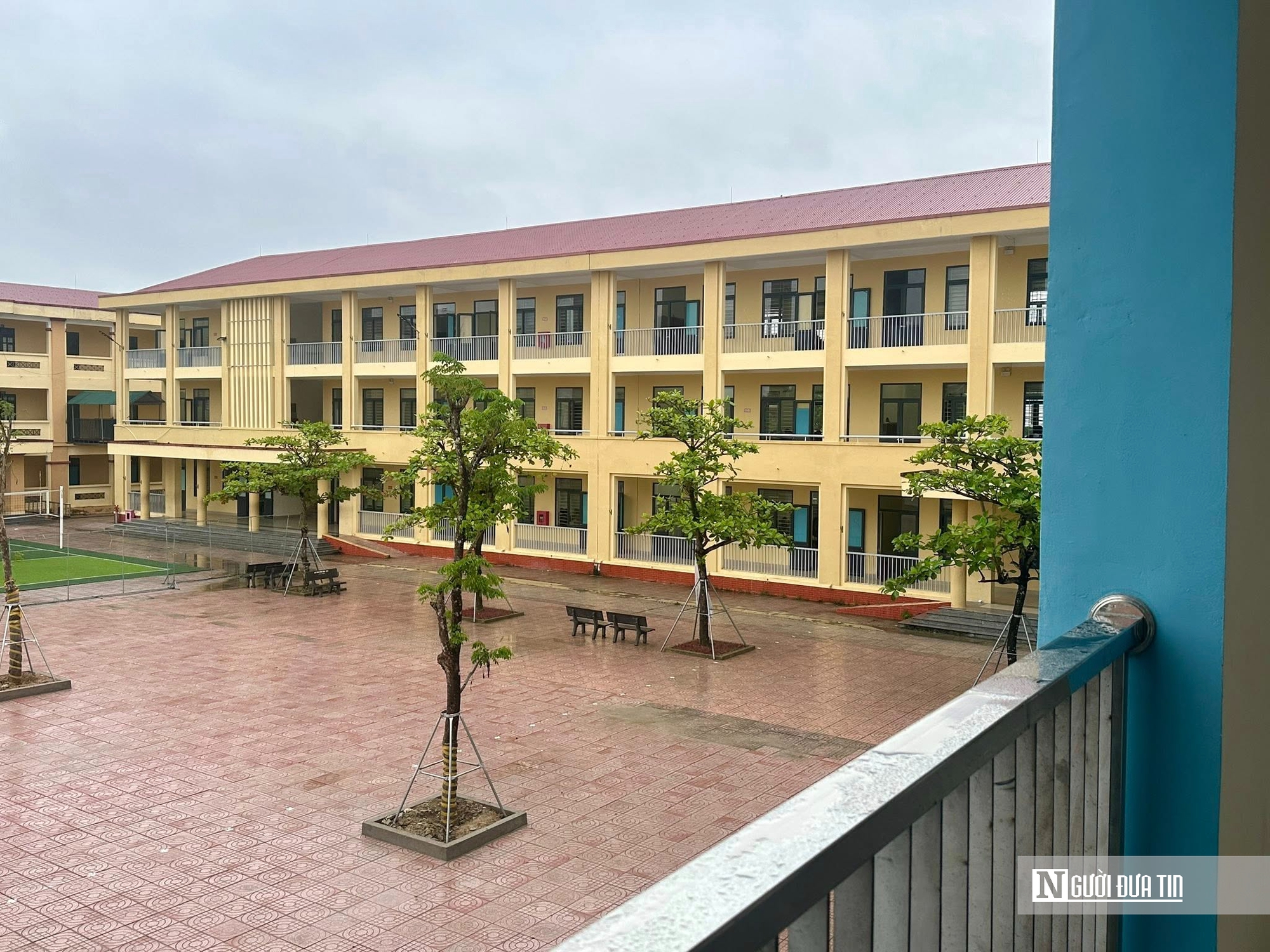 Hiệu trưởng trần tình về việc vận động xã hội hóa để trồng 10 cây giáng hương giá 130 triệu đồng- Ảnh 4.