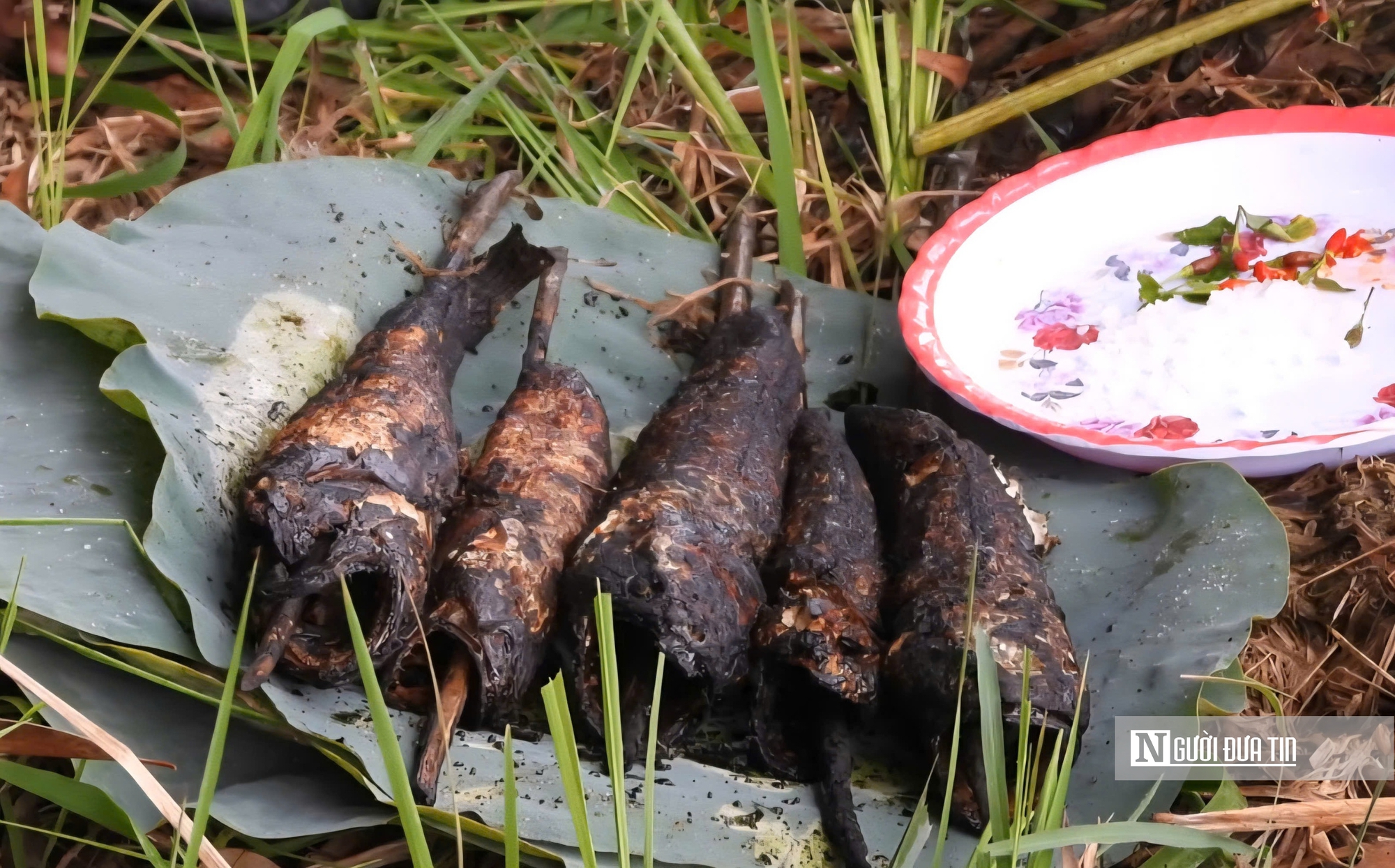 Từ món “nhà nghèo”, thành biểu tượng ẩm thực của miền Tây- Ảnh 10. Từ món “nhà nghèo”, thành biểu tượng ẩm thực của miền Tây- Ảnh 10.