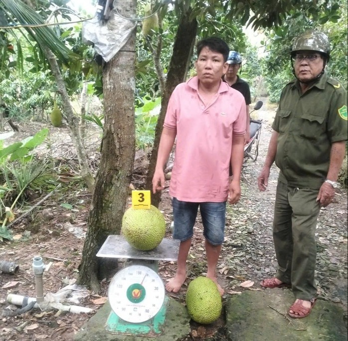 Trộm 2 trái mít, người đàn ông bị khởi tố- Ảnh 1. Trộm 2 trái mít, người đàn ông bị khởi tố- Ảnh 1.