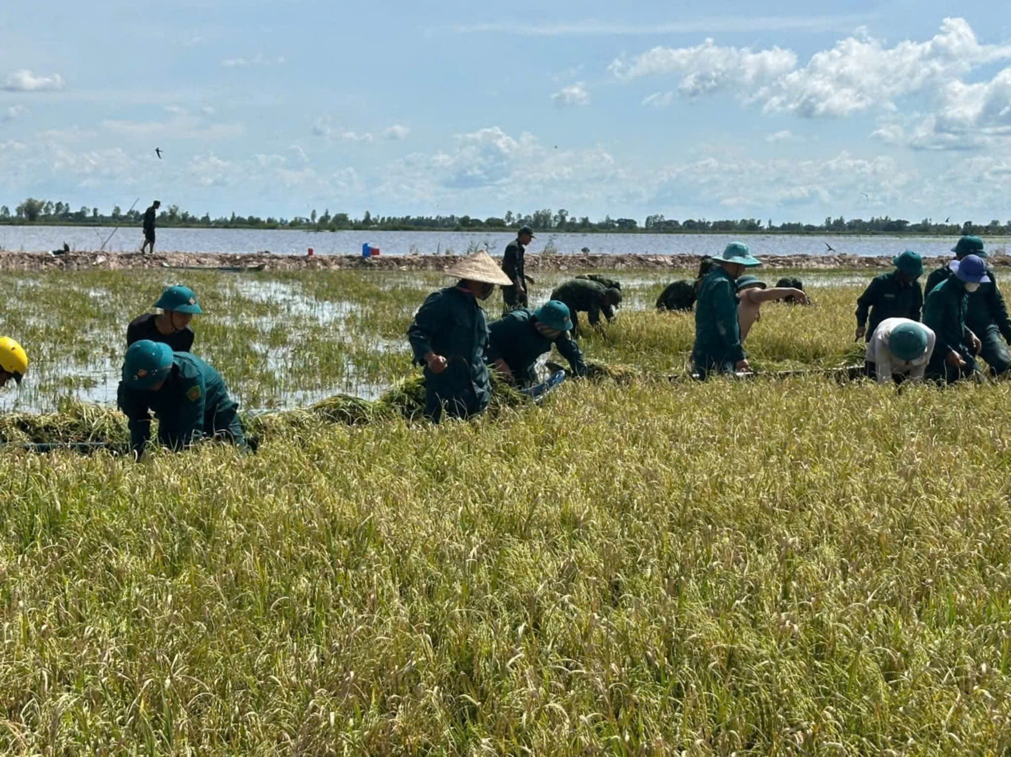 Tây Ninh khi lũ tràn đồng, tình quân dân lại dâng cao hơn con nước- Ảnh 8. Tây Ninh khi lũ tràn đồng, tình quân dân lại dâng cao hơn con nước- Ảnh 8.