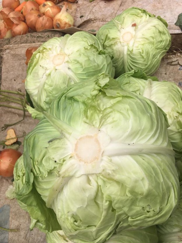 Loại rau quen thuộc, có nhiều vào mùa đông giá lại rẻ, giúp xương khớp khỏe mạnh - Ảnh 1.