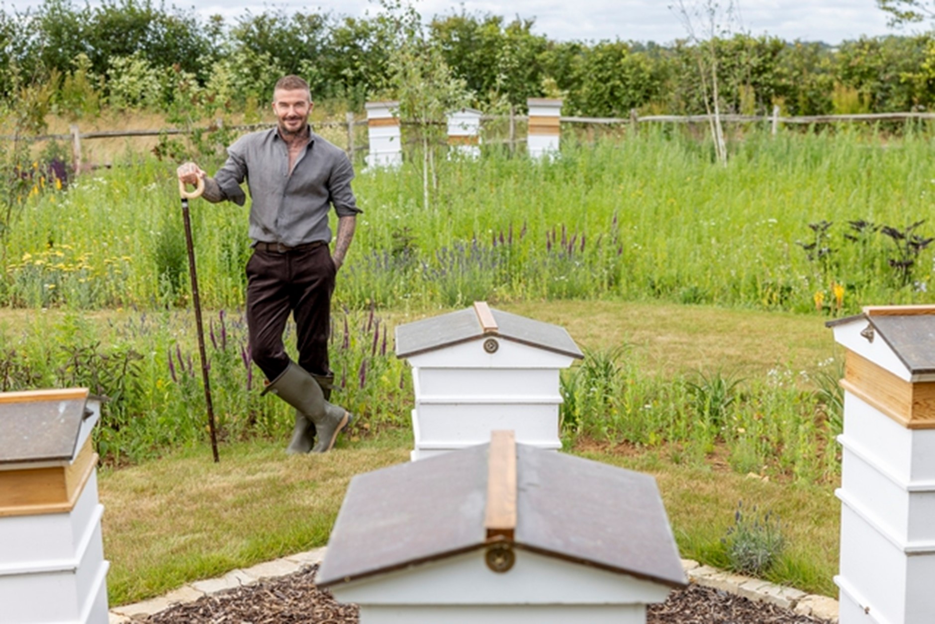 Siêu sao bóng đá lừng danh David Beckham vui thú điền viên - Ảnh 2.
