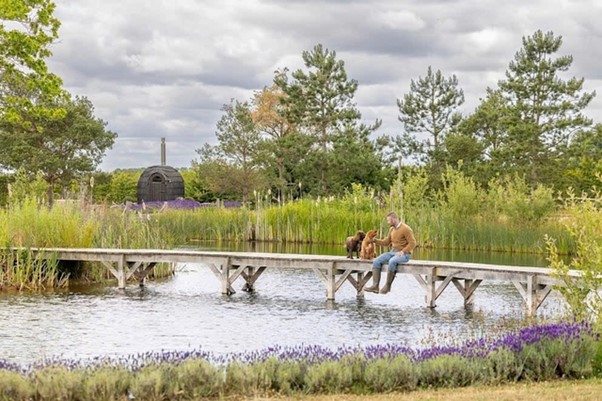 Siêu sao bóng đá lừng danh David Beckham vui thú điền viên - Ảnh 3.
