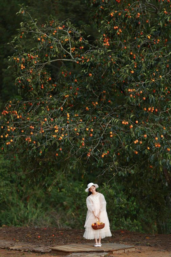 "Tiểu mỹ nhân" nhà Hoa hậu Hà Kiều Anh ở tuổi lên 10- Ảnh 5. "Tiểu mỹ nhân" nhà Hoa hậu Hà Kiều Anh ở tuổi lên 10- Ảnh 5.
