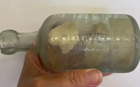 Chú chó thất lạc suốt 5 năm đoàn tụ kỳ diệu với chủ - Ảnh 2.