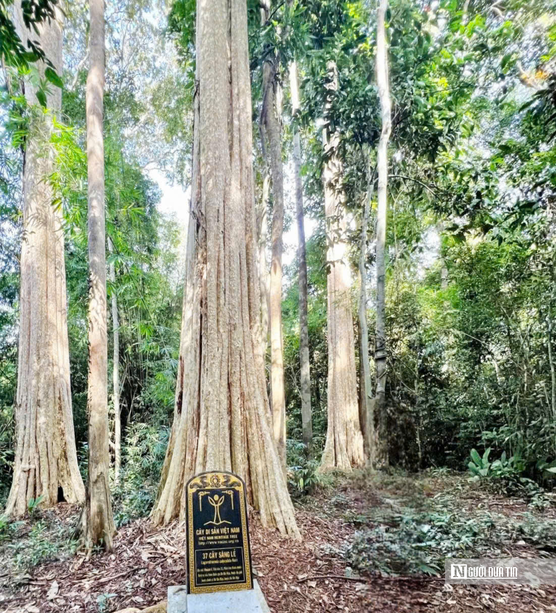 Khi Đồng Nai và Bình Phước “chung nhà”, tiềm năng du lịch nhân đôi- Ảnh 3.