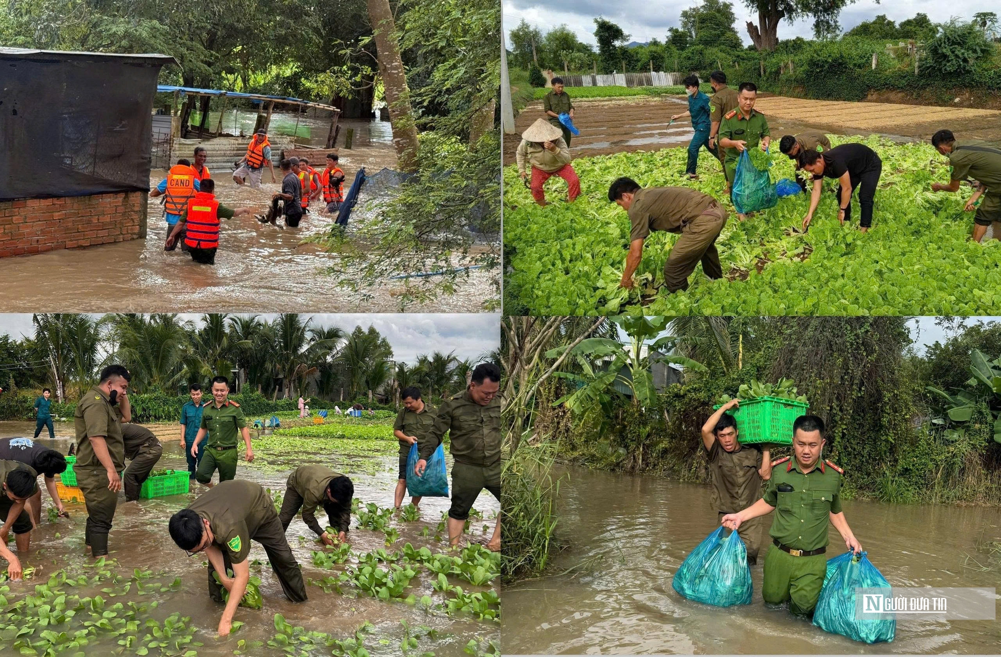 Lâm Đồng căng mình ứng phó mưa lũ- Ảnh 3. Lâm Đồng căng mình ứng phó mưa lũ- Ảnh 3.