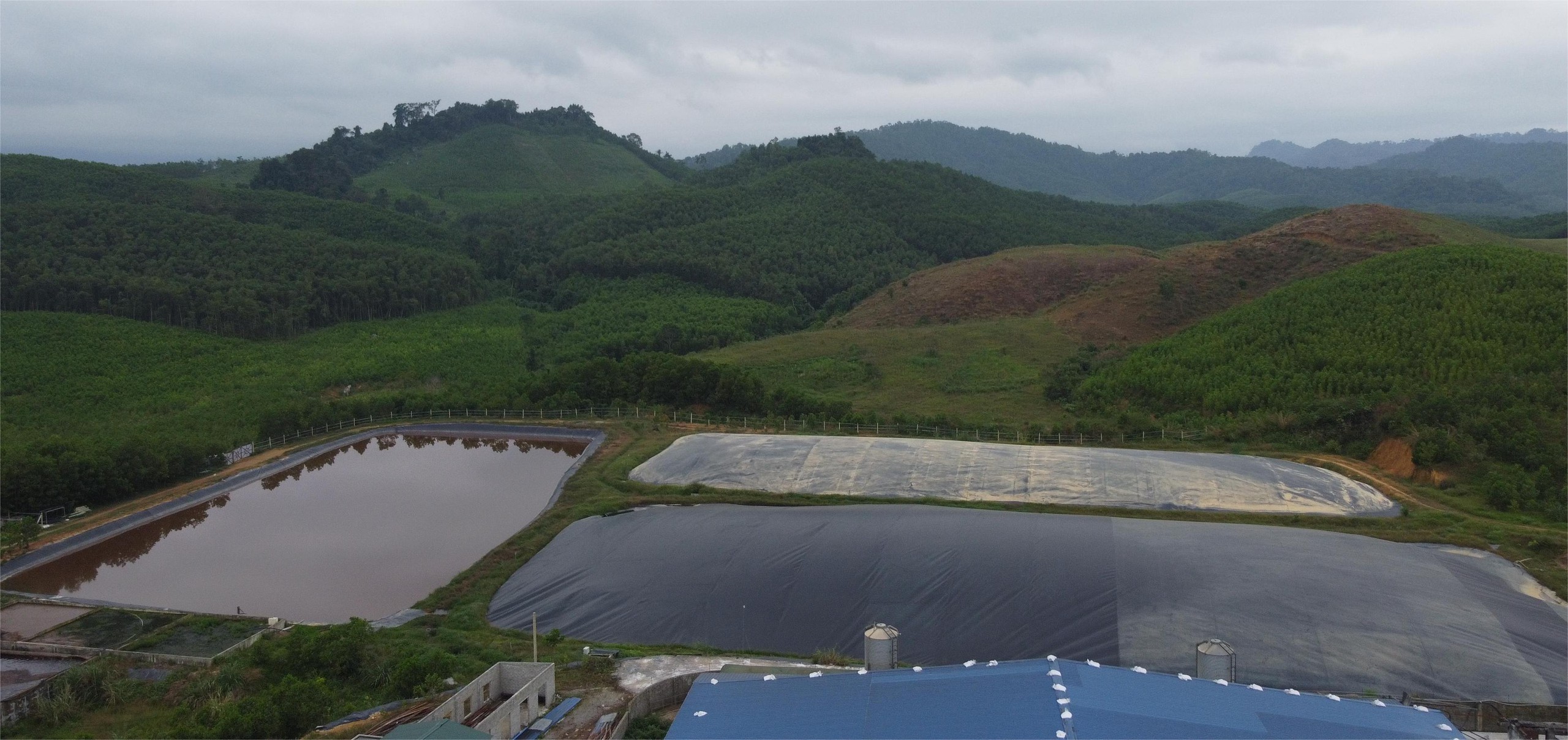 Thanh Hóa: Người dân mất ăn mất ngủ vì trại lợn hôi thối - Ảnh 2.