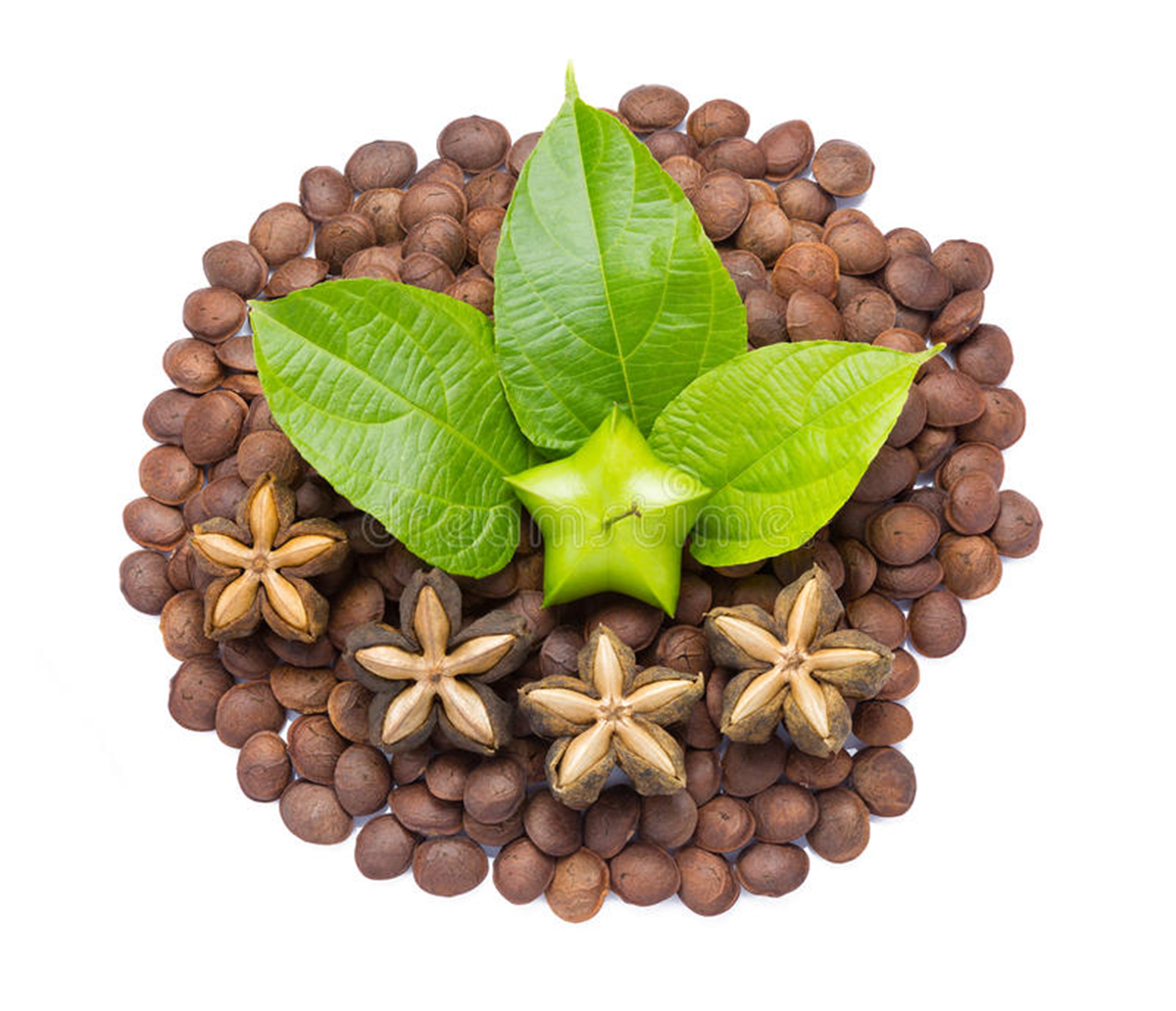 Loại hạt "đắt đỏ bậc nhất thế giới", ở Việt Nam cũng có mà ít ai hay - Ảnh 2.