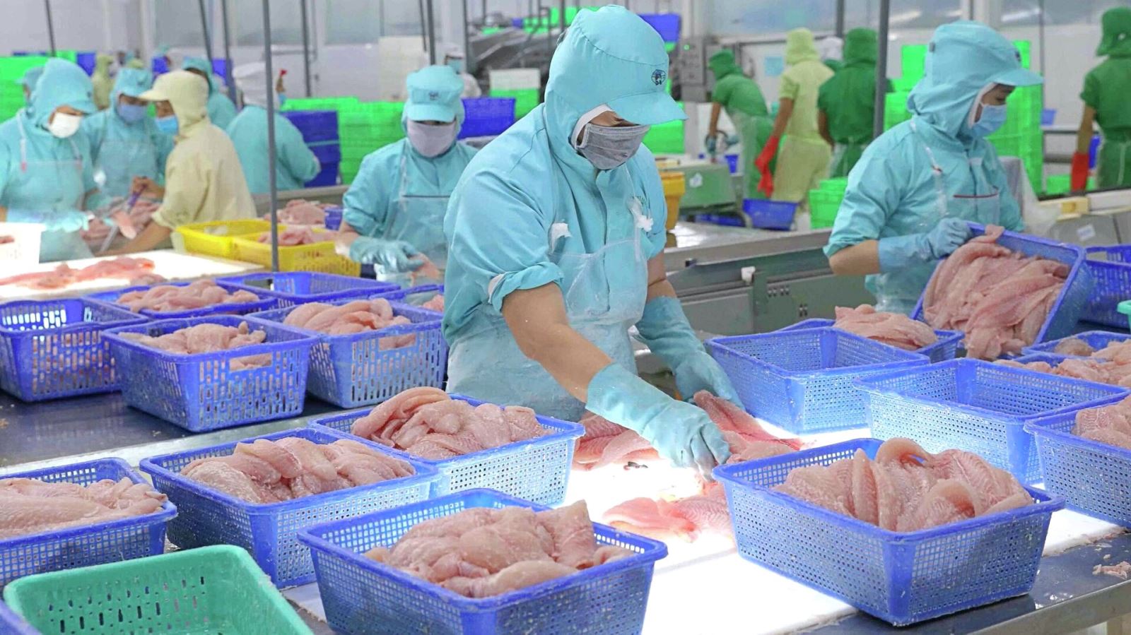 Vĩnh Hoàn bứt tốc lợi nhuận quý III/2025 nhờ tỉ giá và đầu tư tài chính - Ảnh 1.