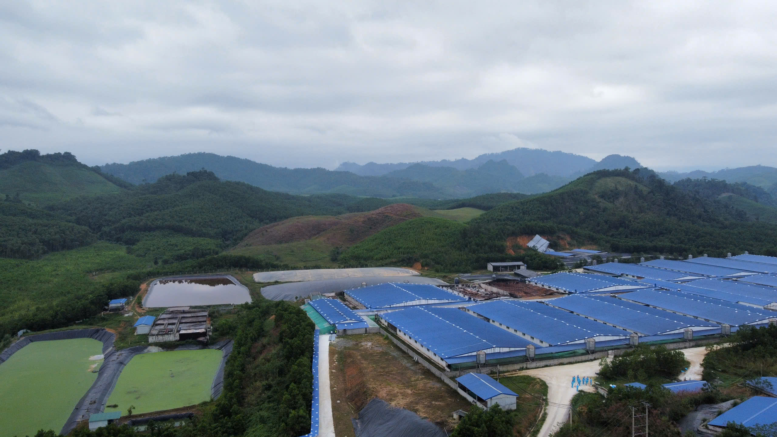 Thanh Hóa: Người dân mất ăn mất ngủ vì trại lợn hôi thối - Ảnh 1.