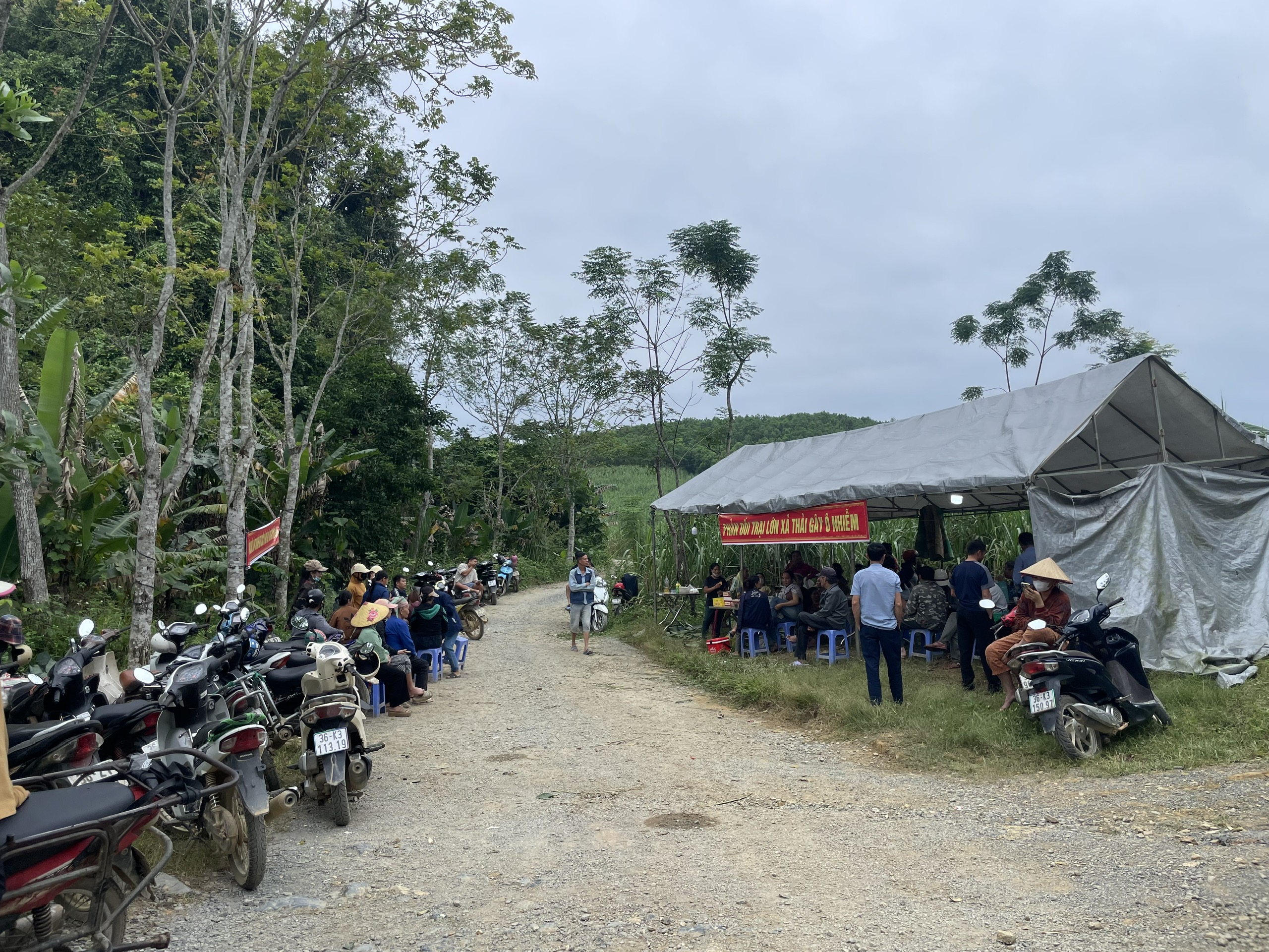 Thanh Hóa: Người dân mất ăn mất ngủ vì trại lợn hôi thối - Ảnh 3.