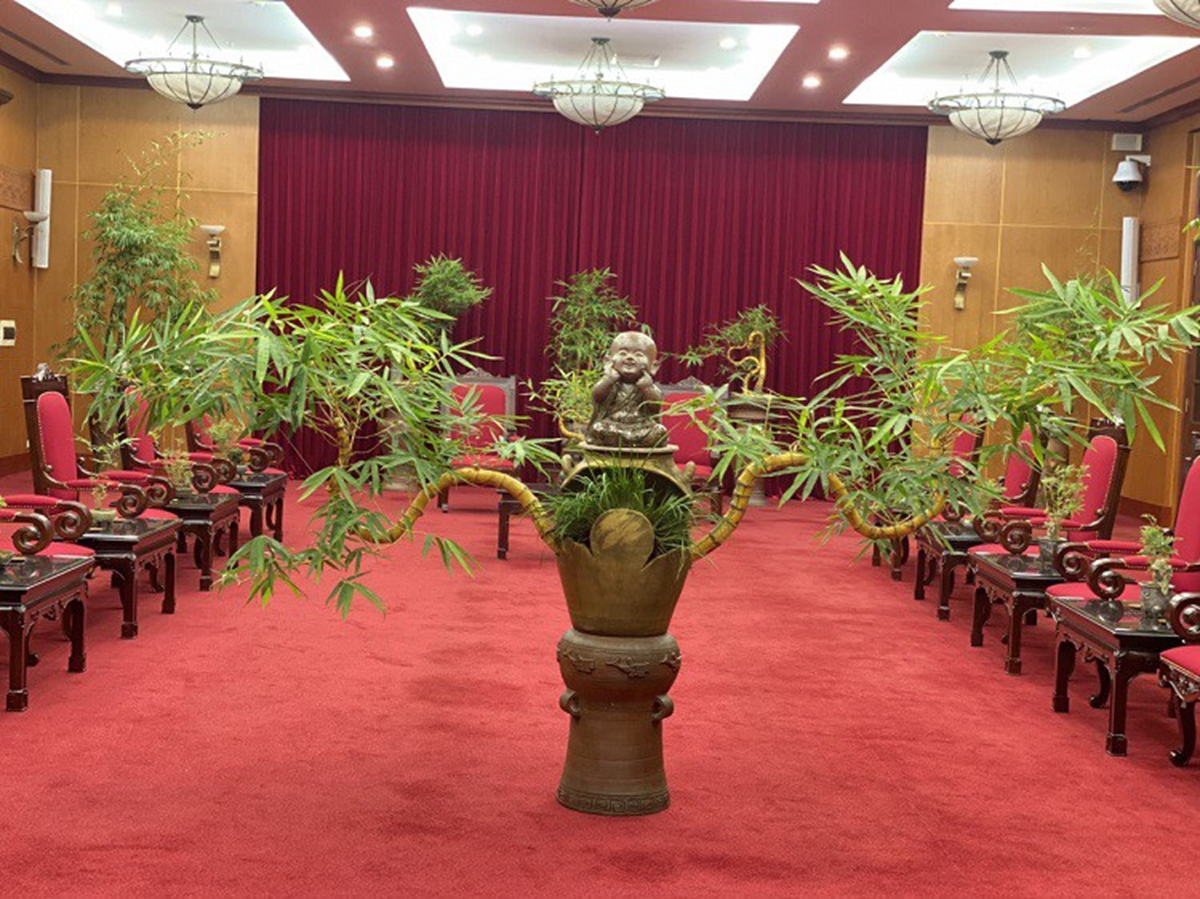 Loại cây quen thuộc mọc bờ bụi lên chậu thành bonsai giá nửa tỷ đồng vẫn "chưa ưng bán" - Ảnh 3.