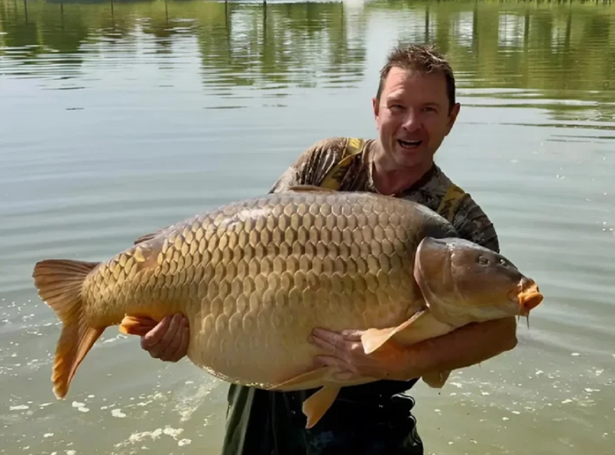 Đi câu cá "giải sầu", người phụ nữ cần thủ câu được con cá chép "khổng lồ"- Ảnh 2.