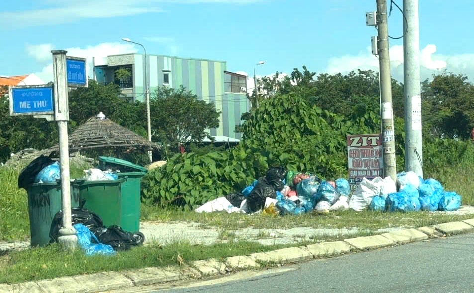 Đà Nẵng: Người dân bất an, lo ô nhiễm vì rác tập kết đầy đường- Ảnh 2.