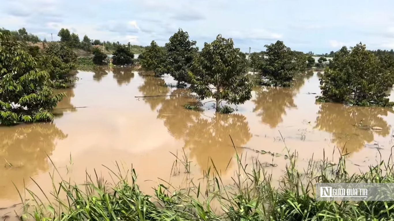 Khi mùa nước nổi không còn là “mùa lộc trời”- Ảnh 2.