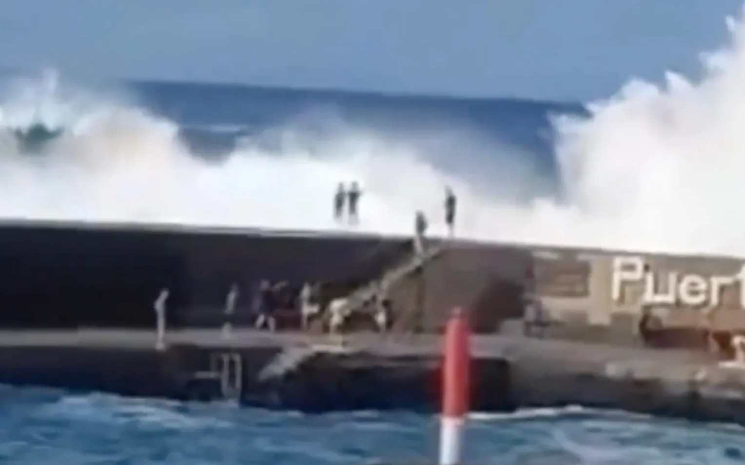 Loài chim khổng lồ giống khủng long bất ngờ xuất hiện trên thuyền ở châu Phi - Ảnh 2.