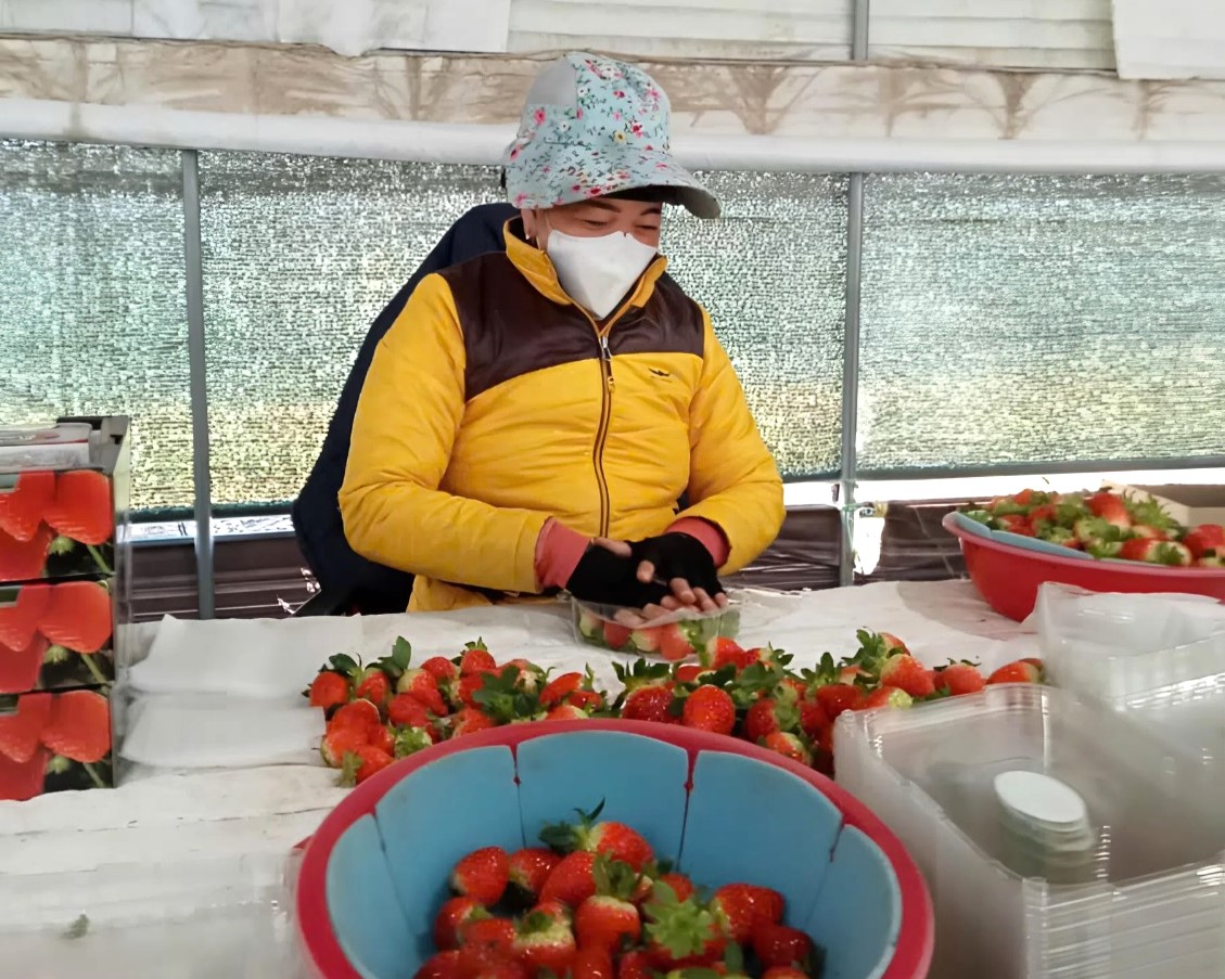 Những nữ bí thư chi bộ: Điểm tựa của bản làng vùng cao- Ảnh 6.