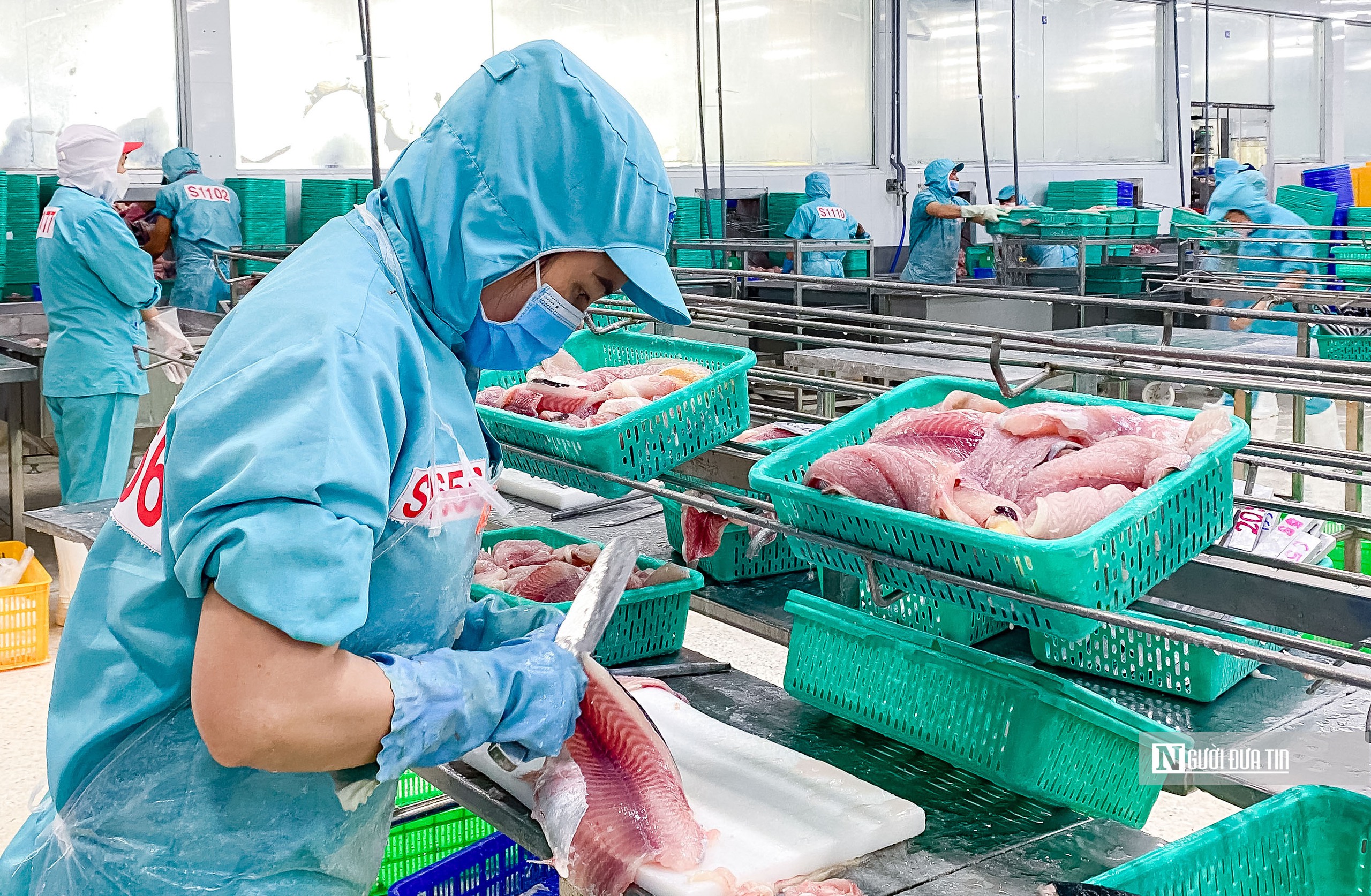 Doanh nghiệp thủy sản bứt phá sau giai đoạn trầm lắng- Ảnh 1.