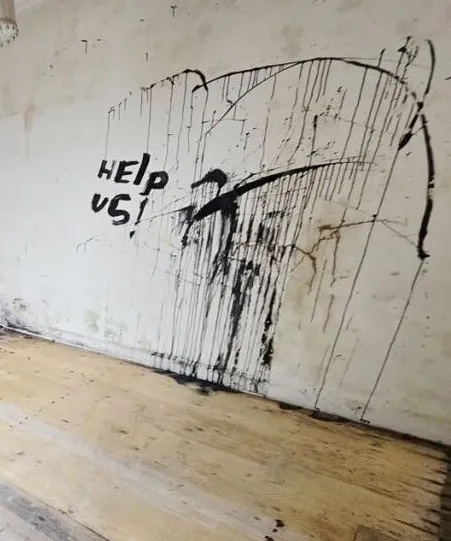 Ngôi nhà trông bình thường từ bên ngoài, nhưng ẩn chứa điều đáng sợ bên trong - Ảnh 3.