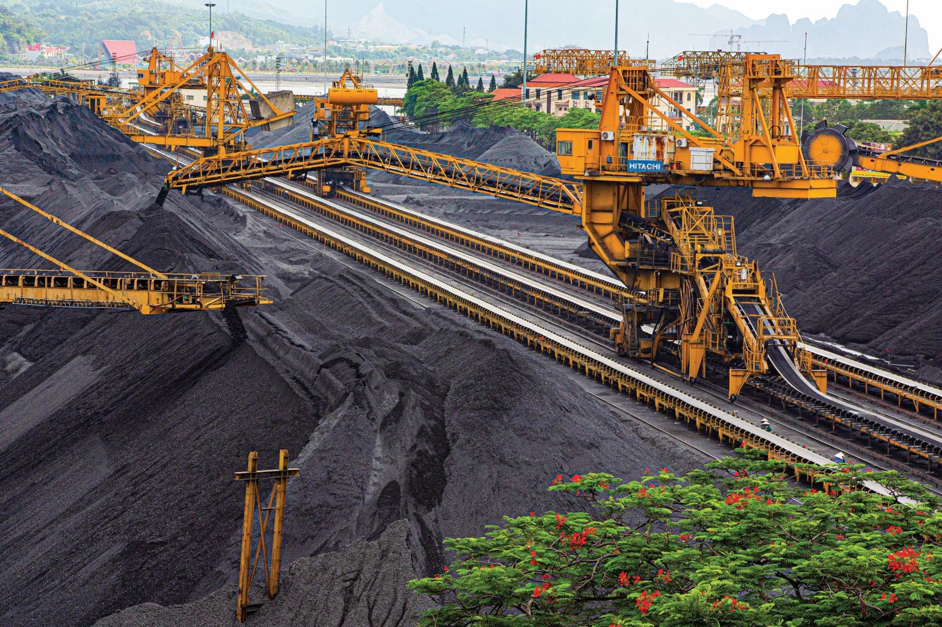 TKV chính thức sáp nhập thêm 2 công ty con - Ảnh 1.