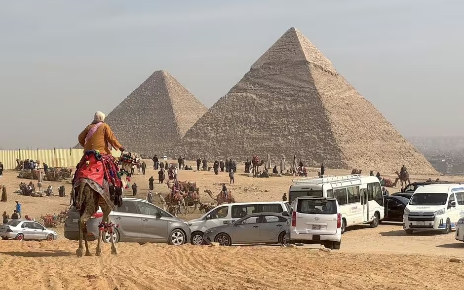 Maroc bị chỉ trích vì giết hàng nghìn con chó vì World Cup - Ảnh 2.