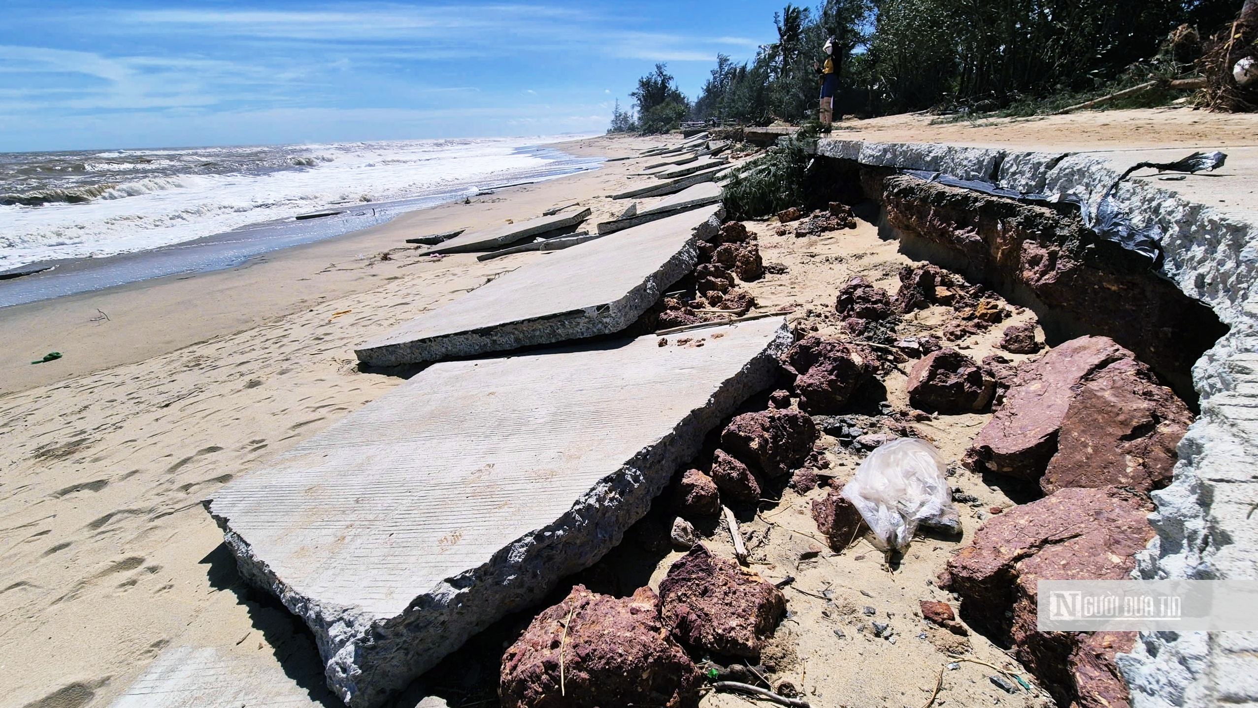 Dân Quảng Ngãi thấp thỏm lo triều cường "nuốt" nhà, tài sản- Ảnh 1.